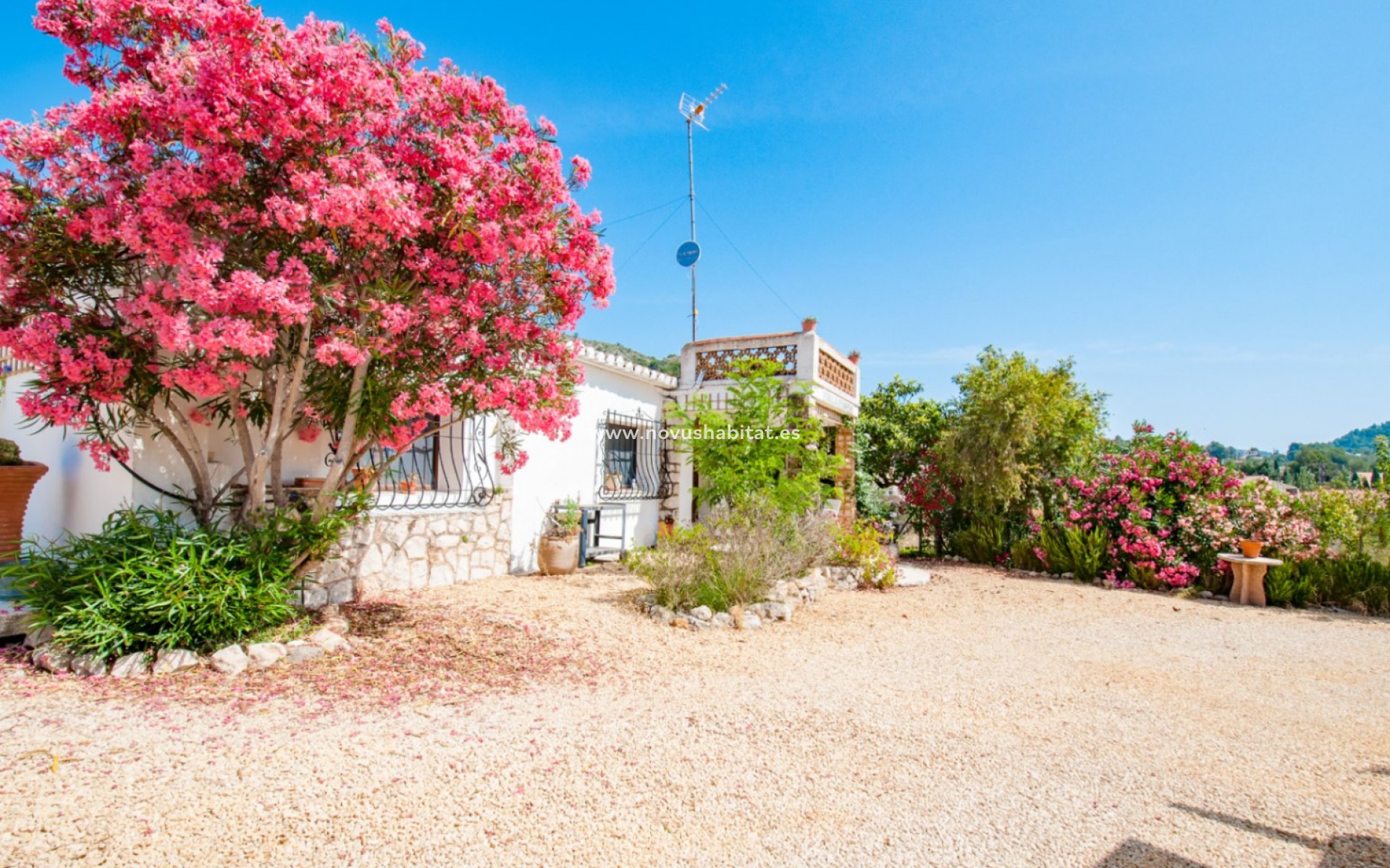 Endursala - Lóð - Alcalalí