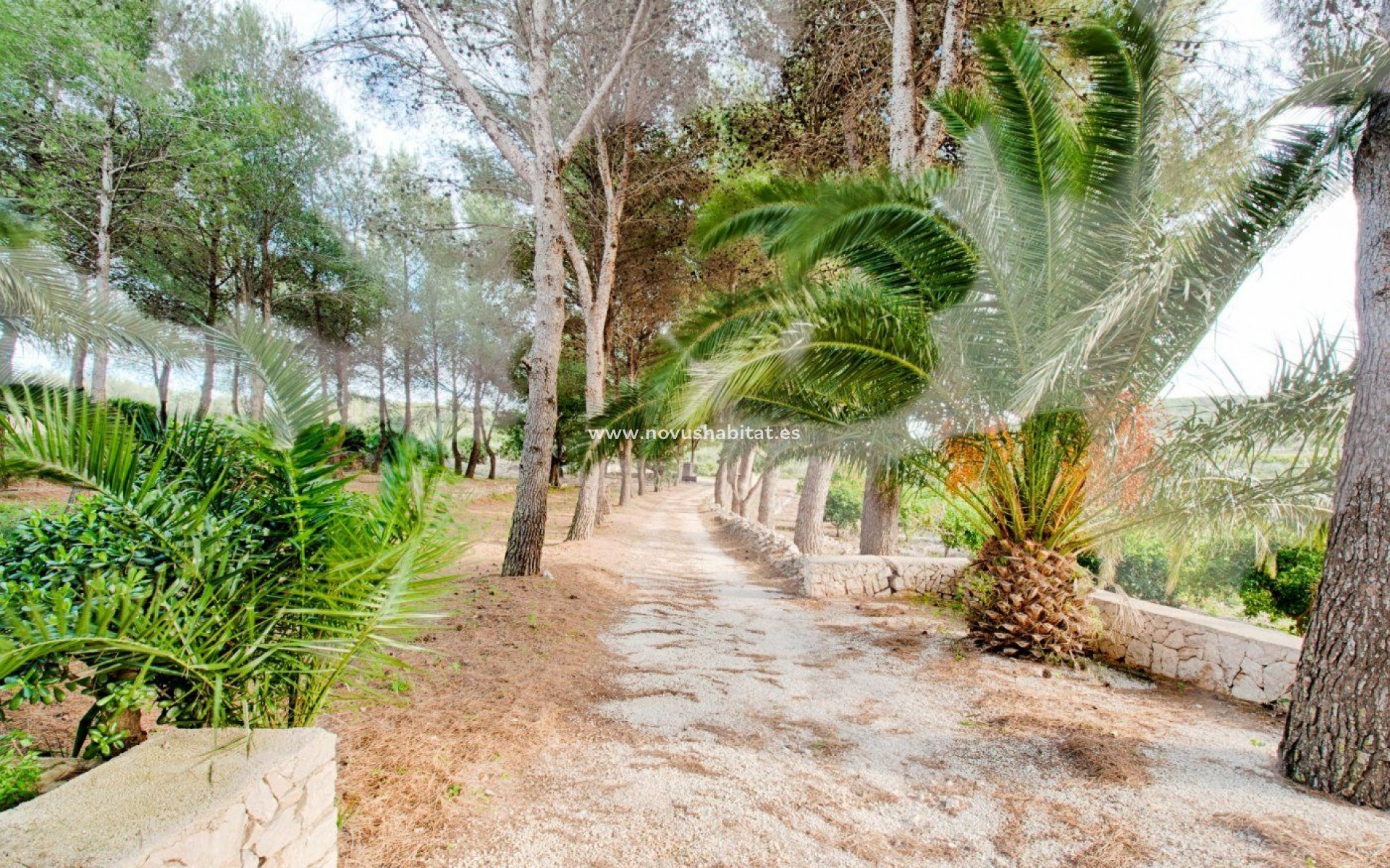 Endursala - Lóð - Gata de Gorgos