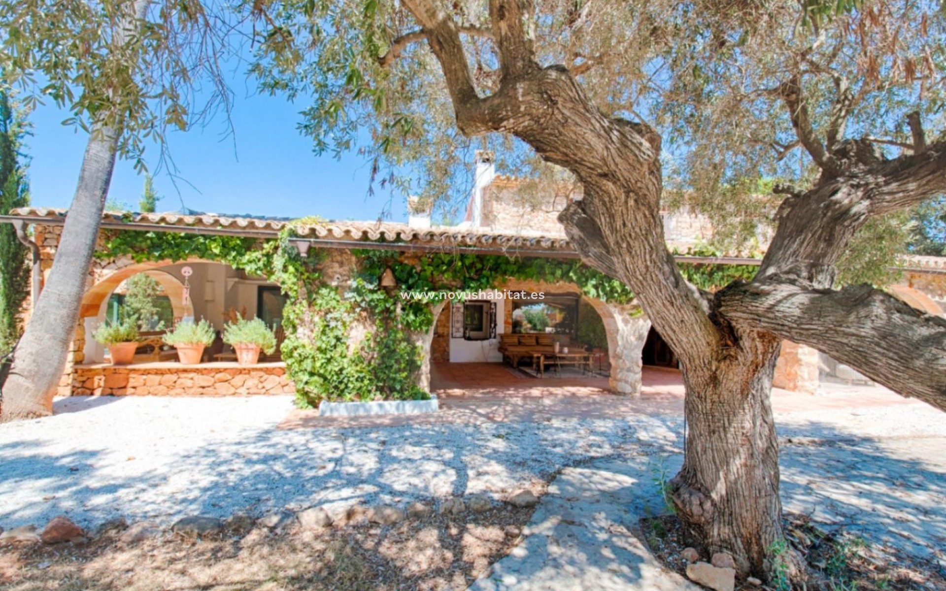 Endursala - Lóð - Senija - Campo