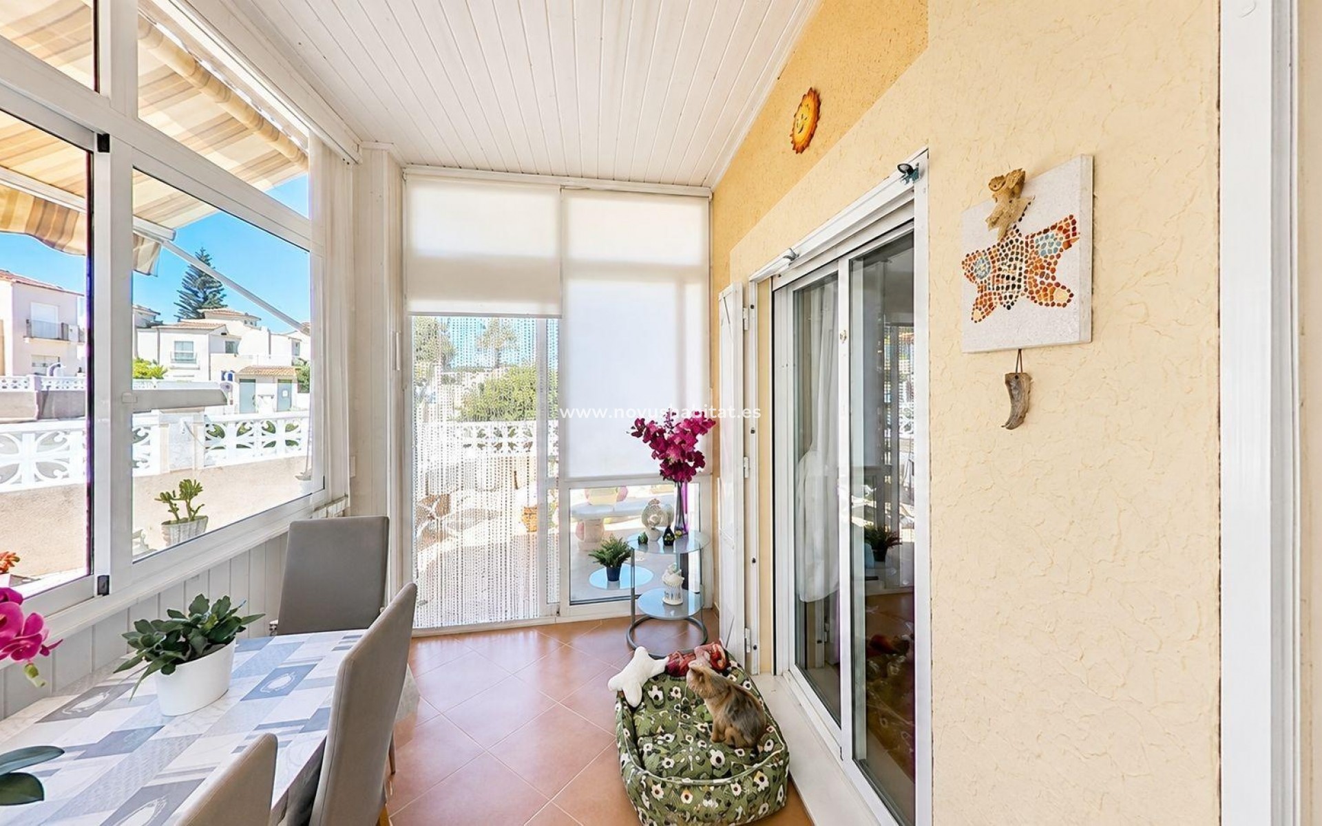 Endursala - Quad - Algorfa - Algorfa - Urb. Montebello