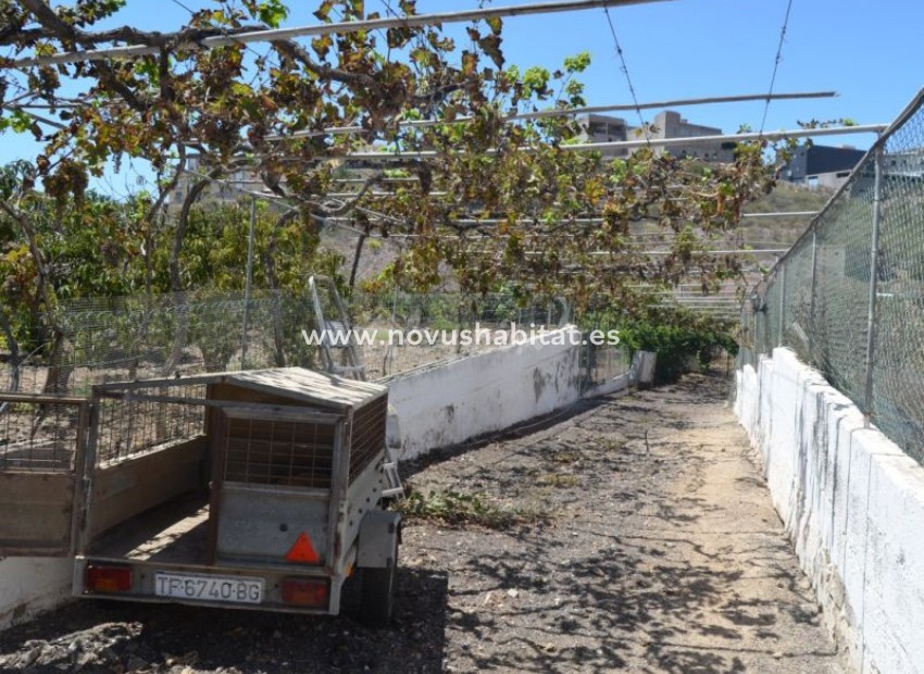 Endursala - Villa - Buzanada - Buzanada Tenerife