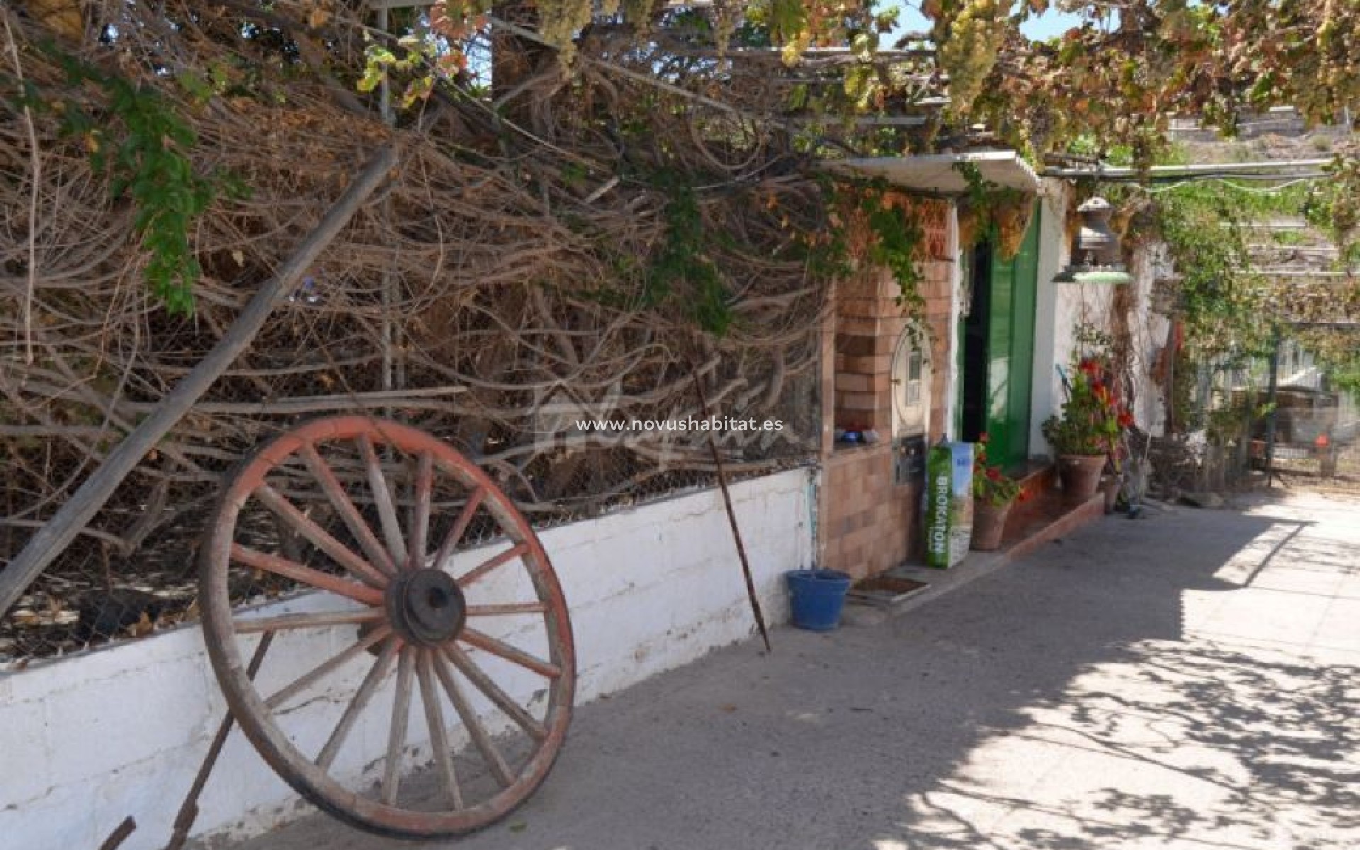 Endursala - Villa - Buzanada - Buzanada Tenerife