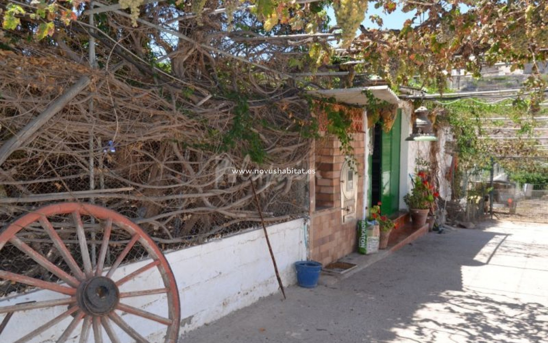 Endursala - Villa - Buzanada - Buzanada Tenerife