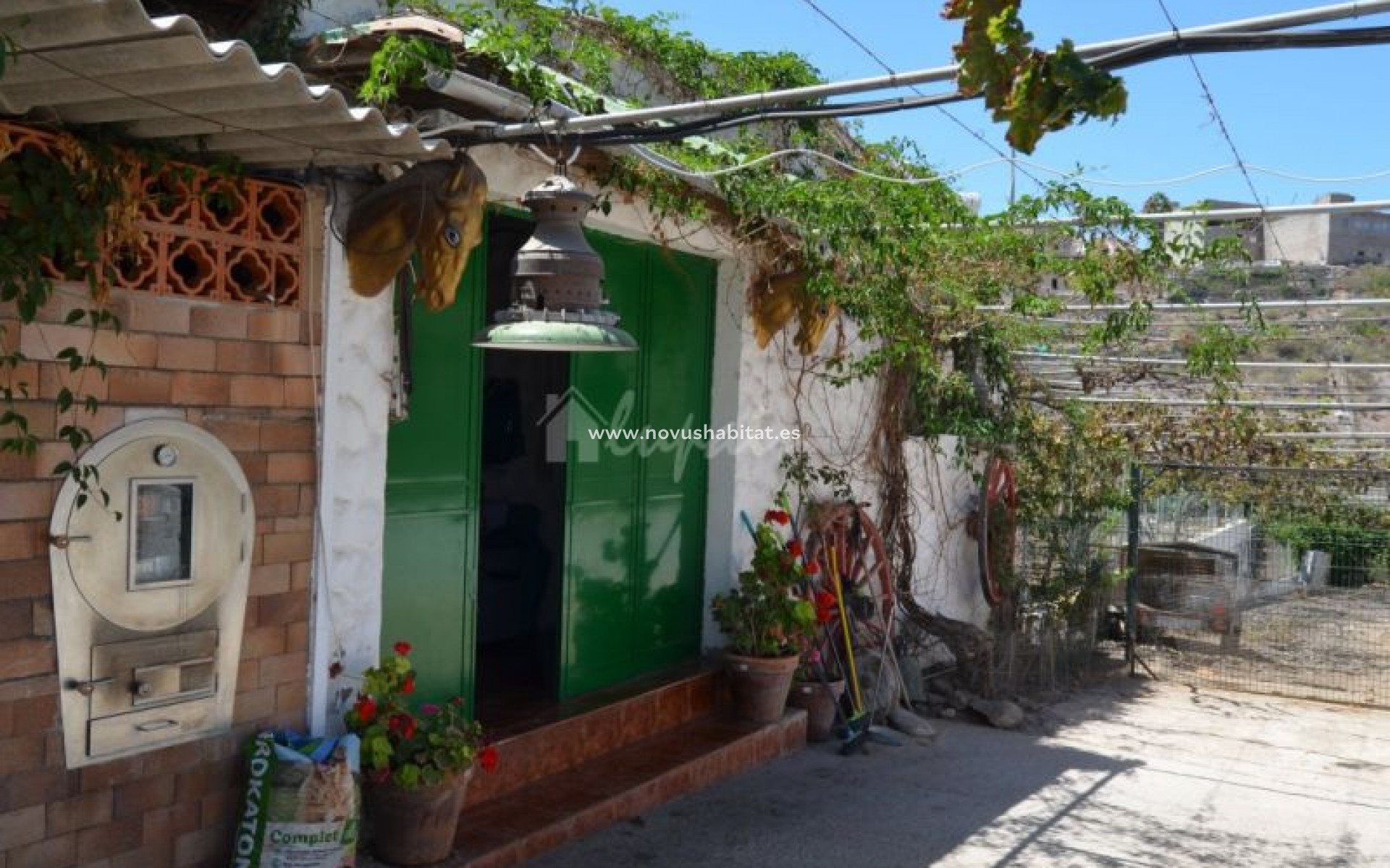 Endursala - Villa - Buzanada - Buzanada Tenerife