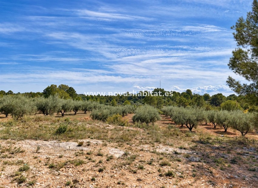 Endursala - Villa - Cuatretonda