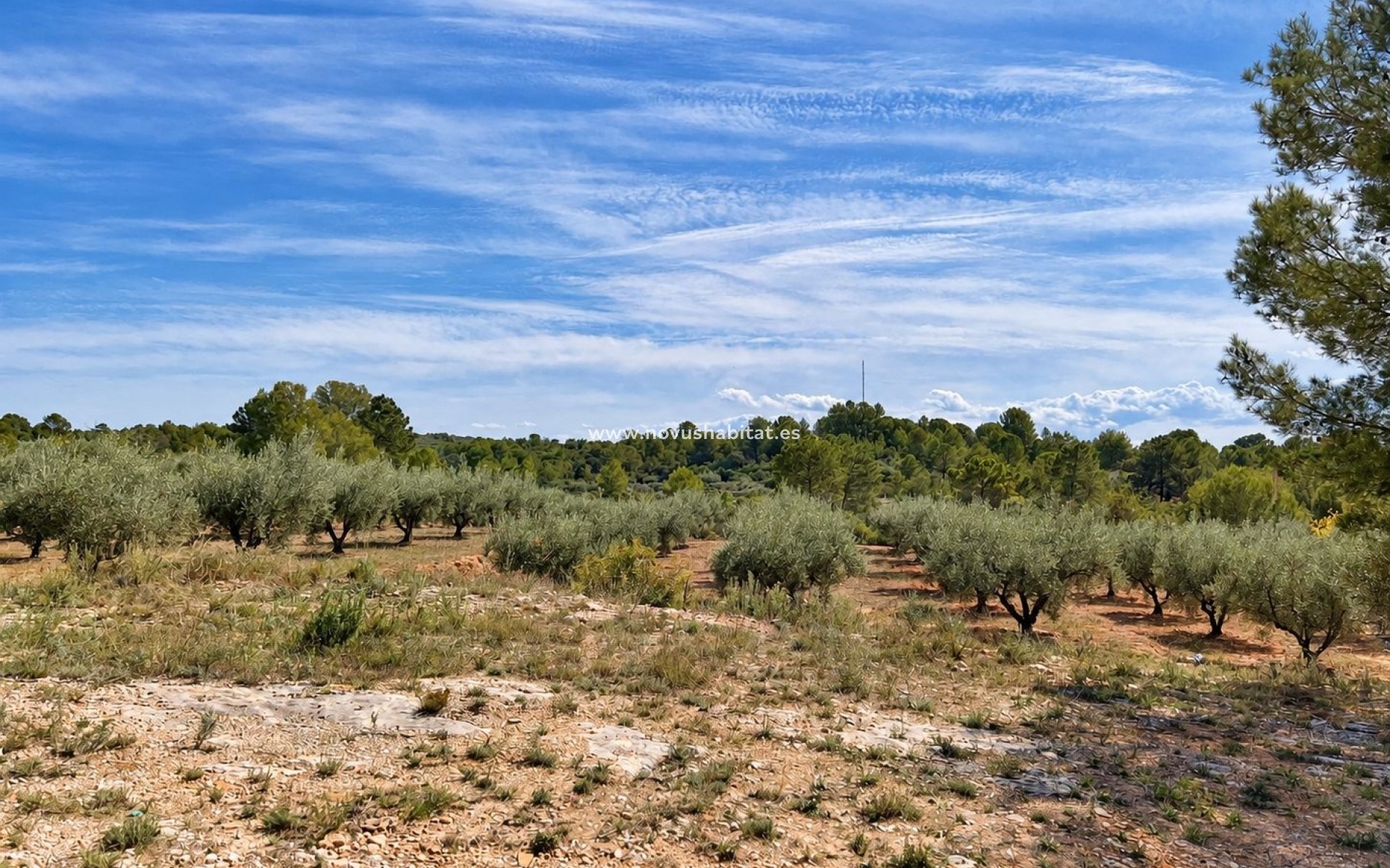 Endursala - Villa - Cuatretonda