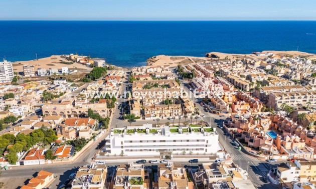 Ground floor apartment - Neue Gebäude - Torrevieja - Torrevieja