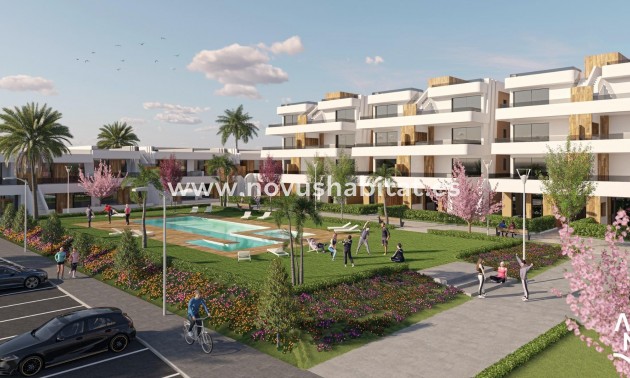 Ground floor apartment - Nueva construcción  - Alhama de Murcia - Alhama de Murcia