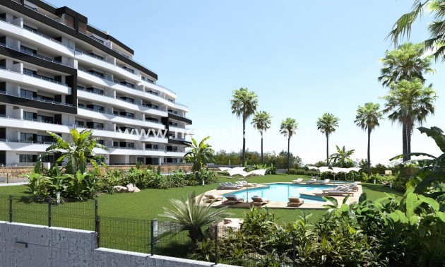 Ground floor apartment - Nueva construcción  - San Miguel de Salinas - REDSPG-61053