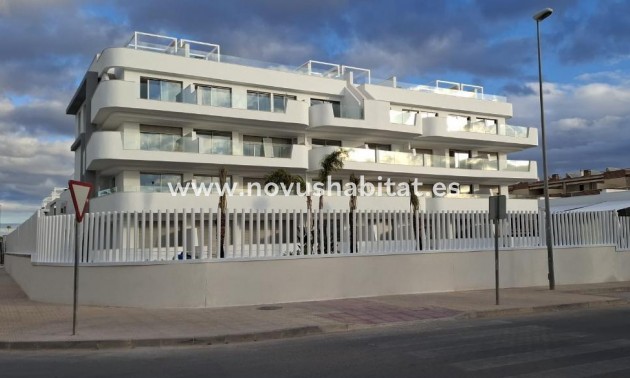 Ground floor apartment - Nýbygging - Orihuela Costa - REDSPG-57988