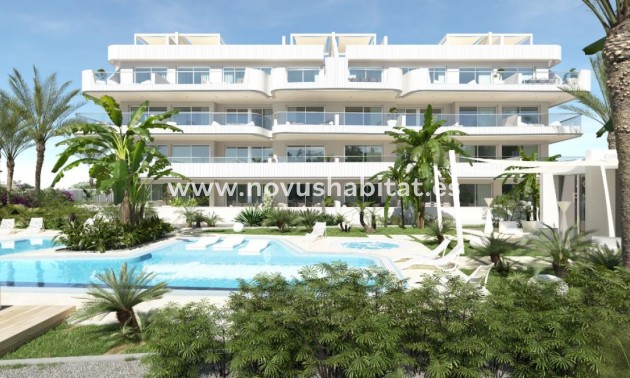 Ground floors - Nowa inwestycja - Orihuela - Orihuela