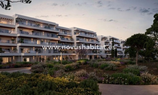 Ground floors - Nýbygging - El Vergel - El Verger