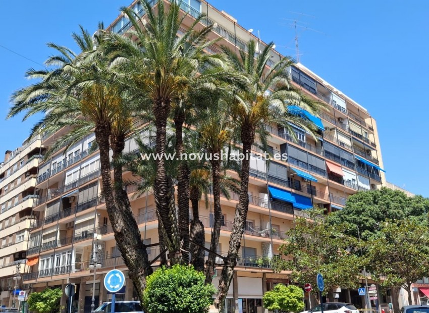 Herverkoop - Apartament / Duplex - Orihuela - Zona Centro