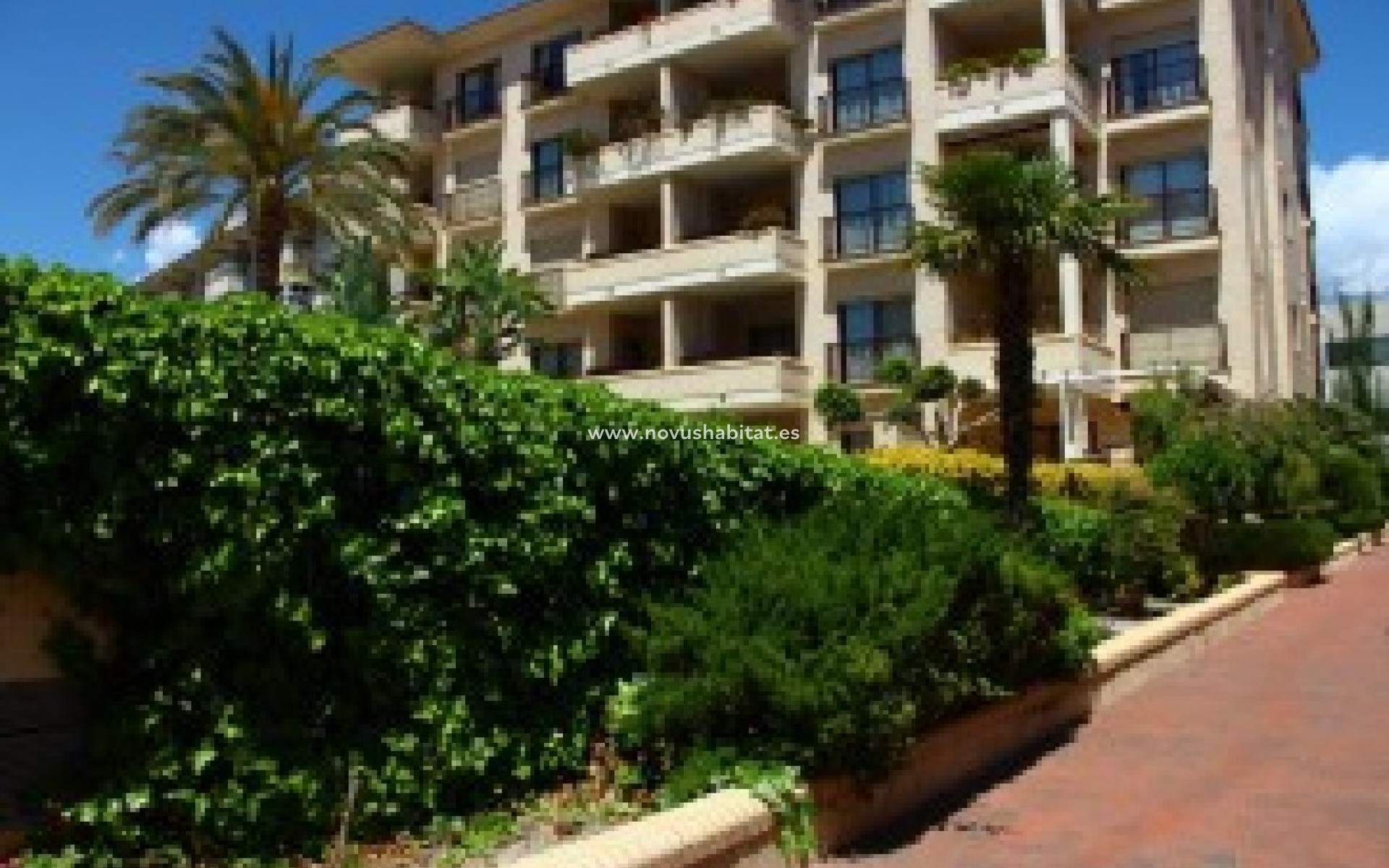 Herverkoop - Appartement - Albir