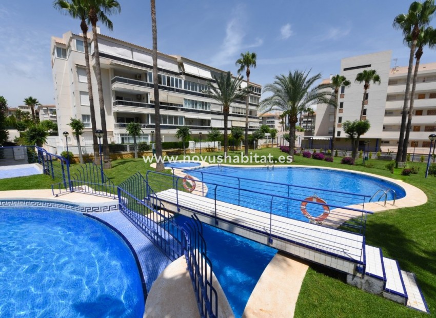 Herverkoop - Appartement - Albir