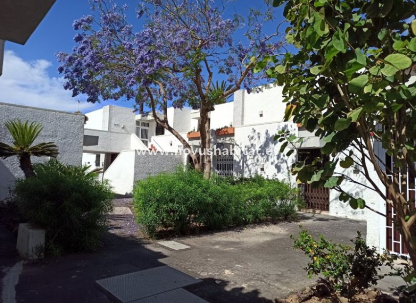 Herverkoop - Appartement - Costa Del Silencio - Primavera Costa Del Silencio Tenerife