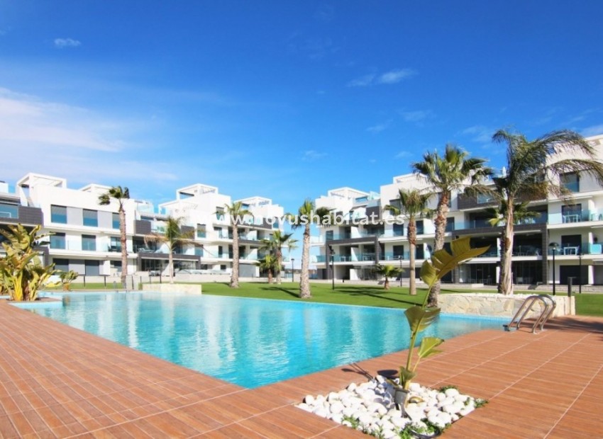 Herverkoop - Appartement - El Raso