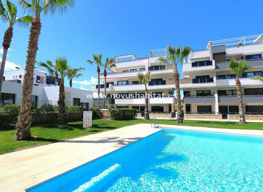 Herverkoop - Appartement - Los Altos