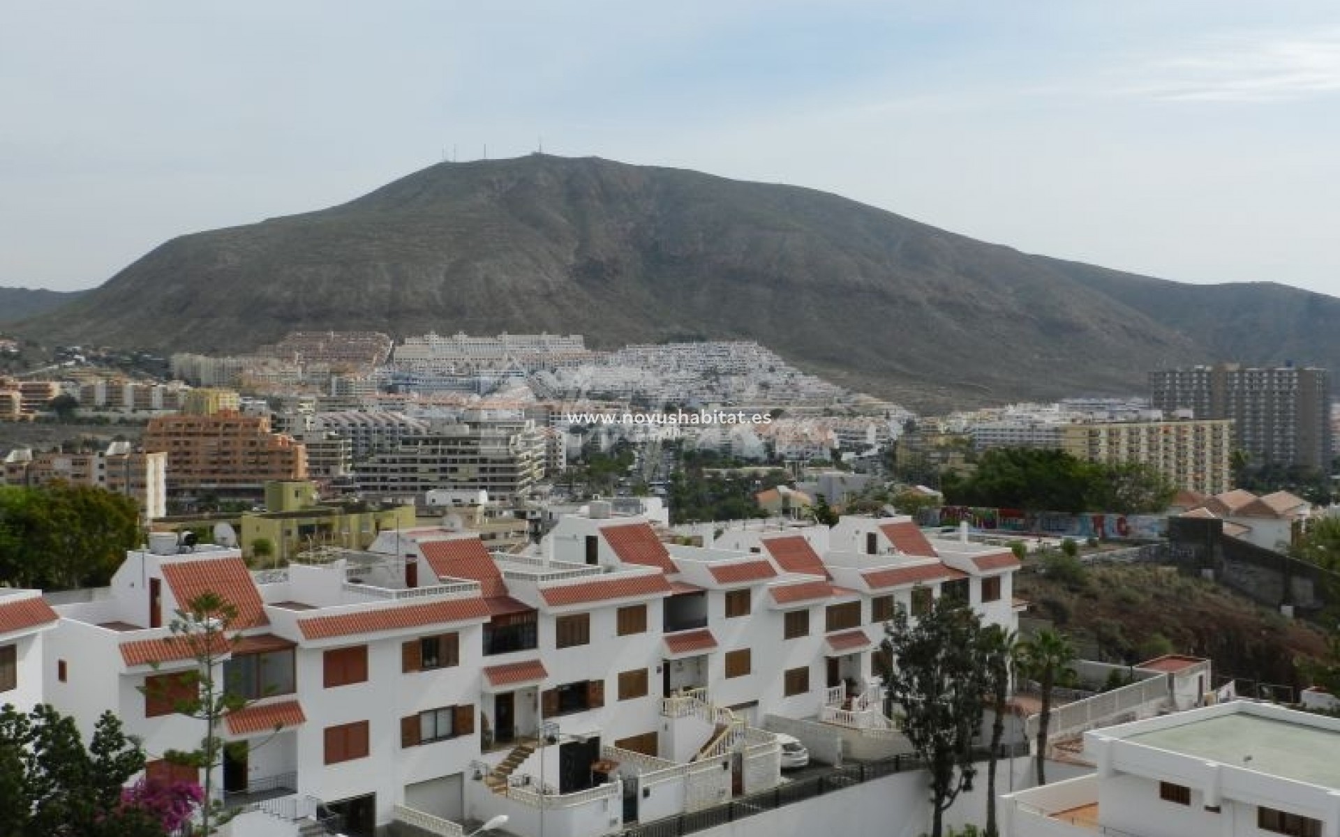Herverkoop - Appartement - Los Cristianos - Arona, Los Cristianos, Tenerife