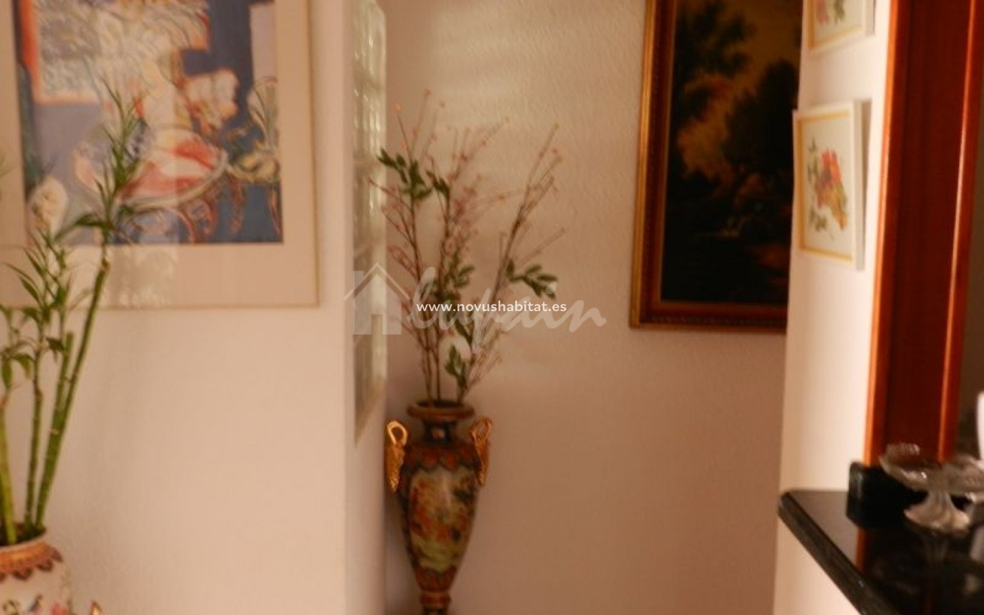 Herverkoop - Appartement - Los Cristianos - Arona, Los Cristianos, Tenerife