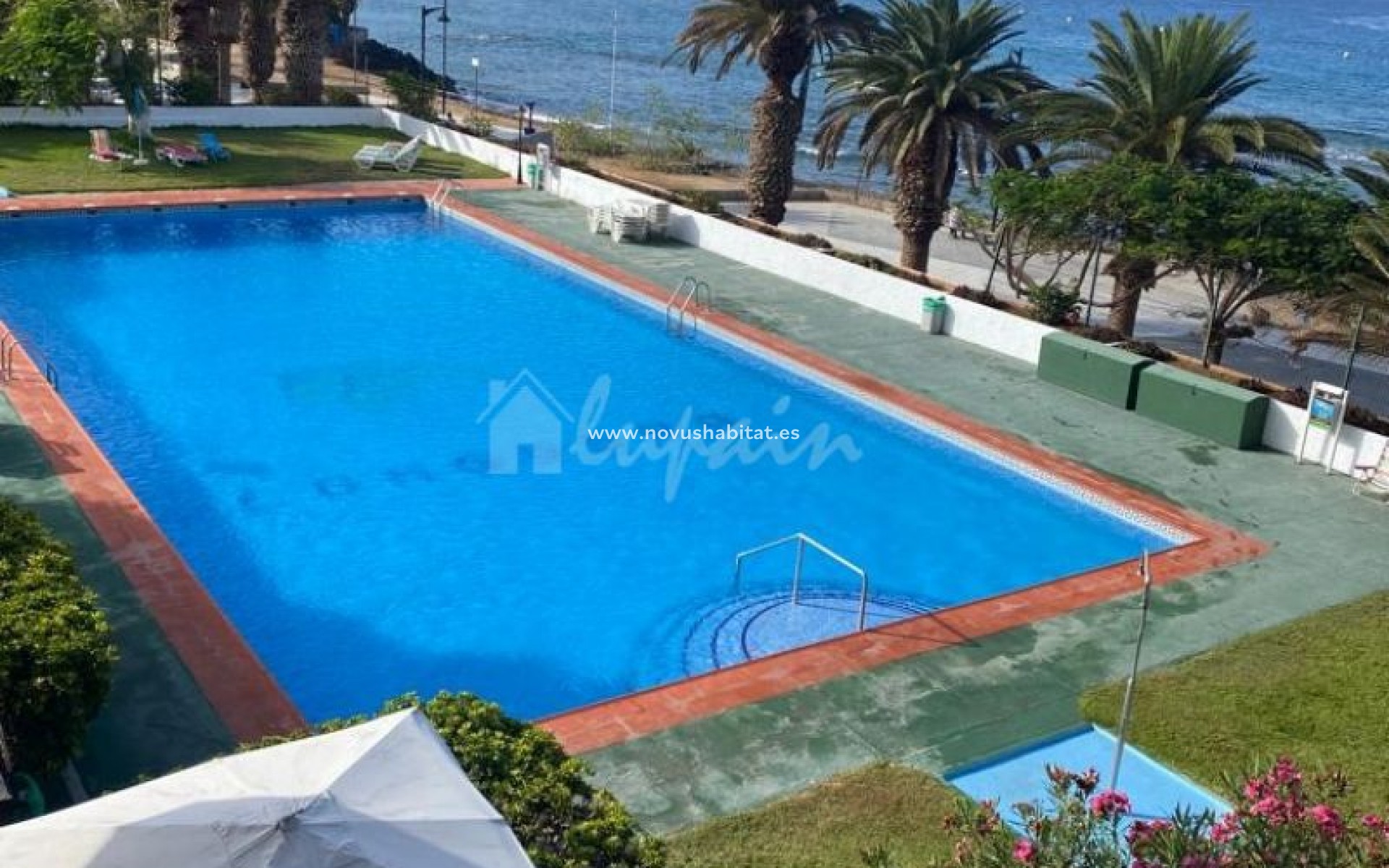 Herverkoop - Appartement - Los Cristianos - Comodoro Los Cristianos Tenerife