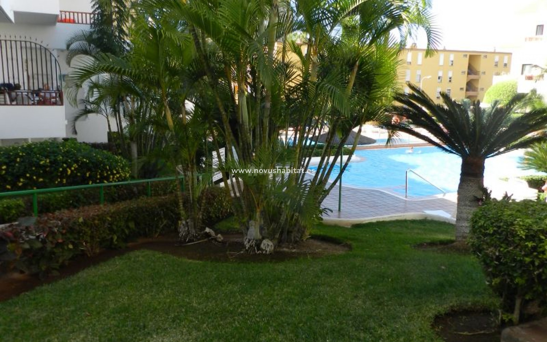 Herverkoop - Appartement - Los Cristianos - Cristian Sur Los Cristianos Tenerife