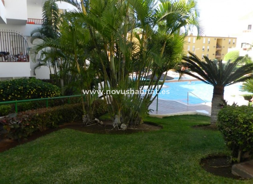 Herverkoop - Appartement - Los Cristianos - Cristian Sur Los Cristianos Tenerife