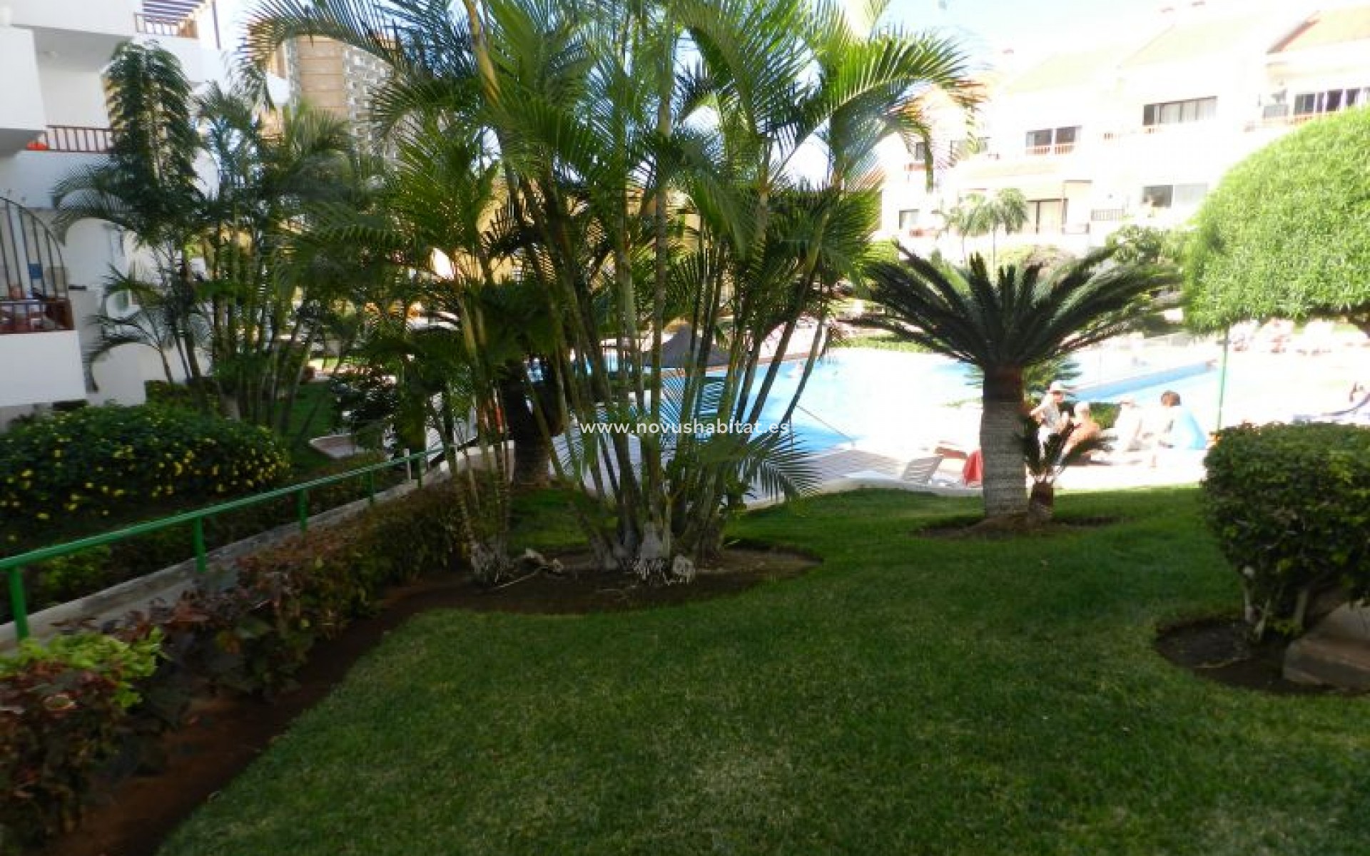 Herverkoop - Appartement - Los Cristianos - Cristian Sur Los Cristianos Tenerife