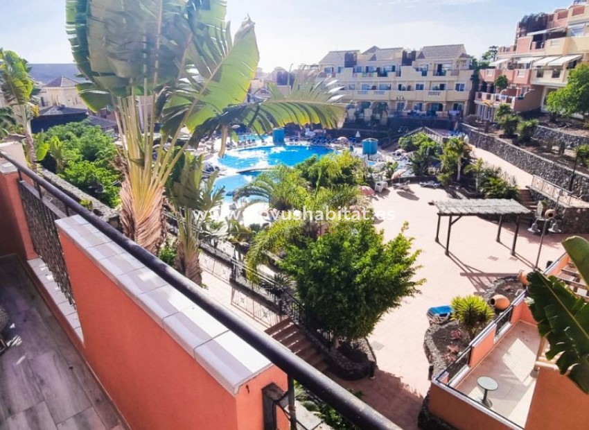 Herverkoop - Appartement - Los Cristianos - Granada Park Los Cristianos Tenerife