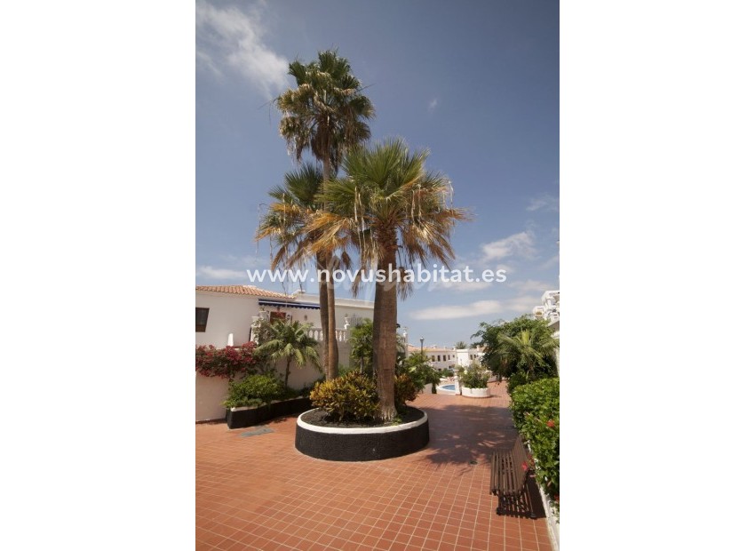 Herverkoop - Appartement - Los Cristianos - Royal Palm Los Cristianos Tenerife