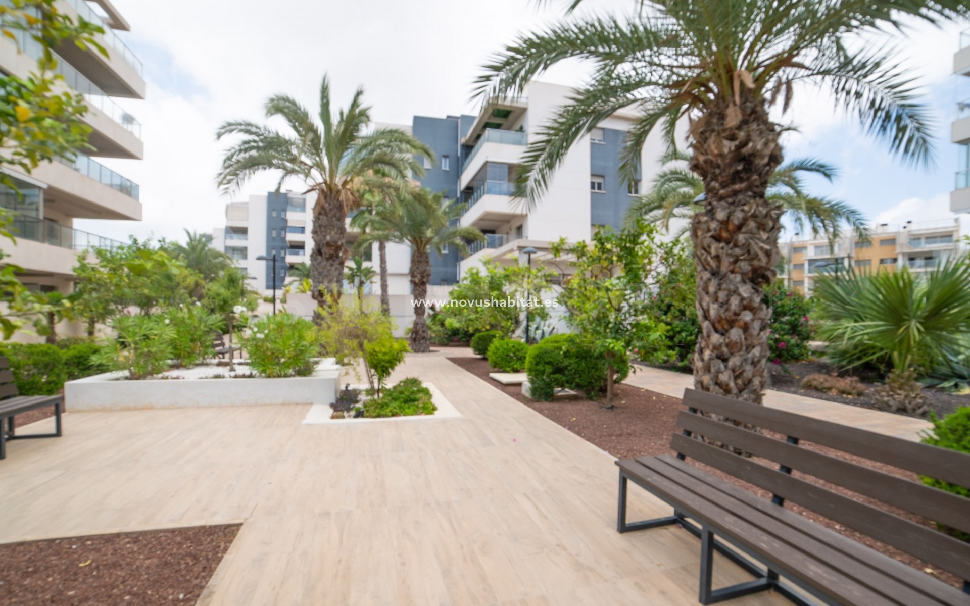 Herverkoop - Appartement - Orihuela Costa - Villamartín