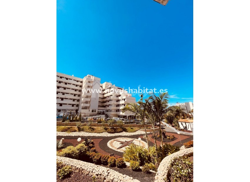 Herverkoop - Appartement - Playa De Las Americas - Borinquen Las Americas Tenerife