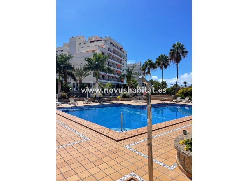 Herverkoop - Appartement - Playa De Las Americas - Borinquen Las Americas Tenerife