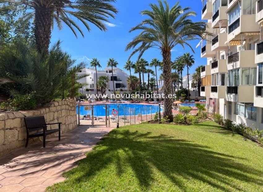 Herverkoop - Appartement - Playa De Las Americas - El Dorado Las Americas Tenerife