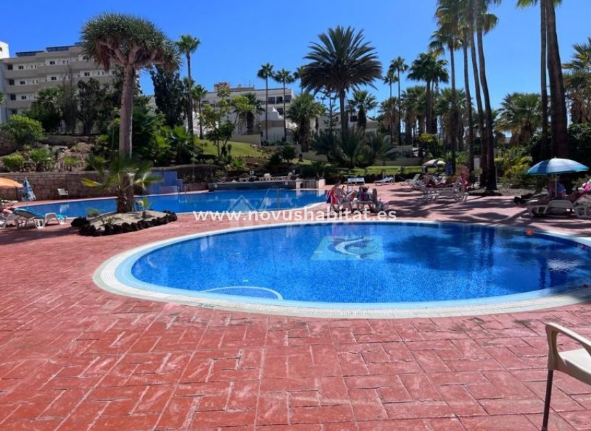 Herverkoop - Appartement - Playa De Las Americas - El Dorado Las Americas Tenerife