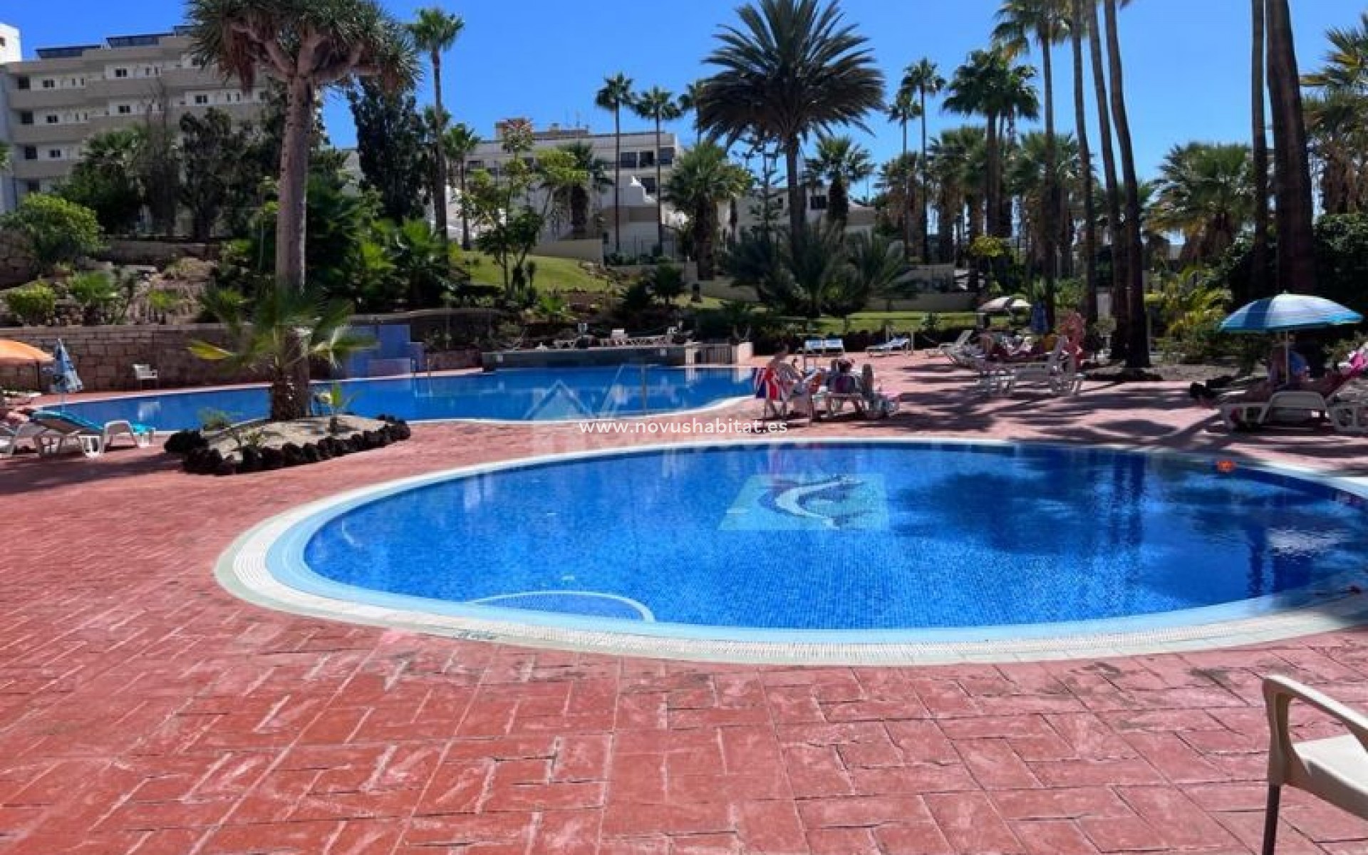 Herverkoop - Appartement - Playa De Las Americas - El Dorado Las Americas Tenerife