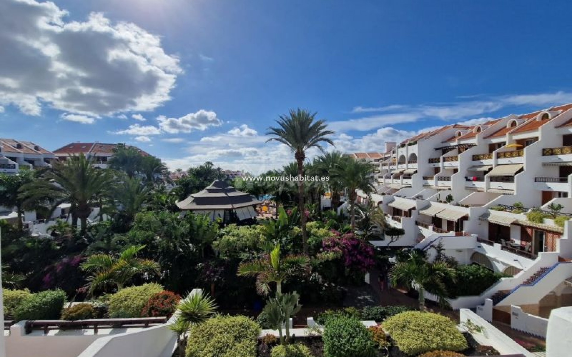 Herverkoop - Appartement - Playa De Las Americas - Parque Santiago III Las Americas Tenerife