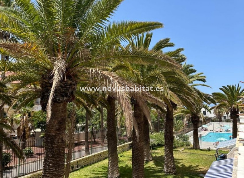 Herverkoop - Appartement - Playa De Las Americas - Playa Honda Playa de Las Americas Tenerife