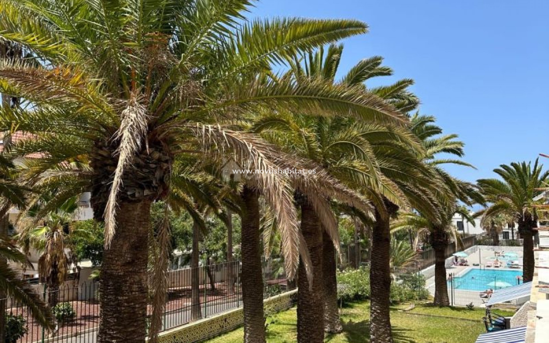 Herverkoop - Appartement - Playa De Las Americas - Playa Honda Playa de Las Americas Tenerife