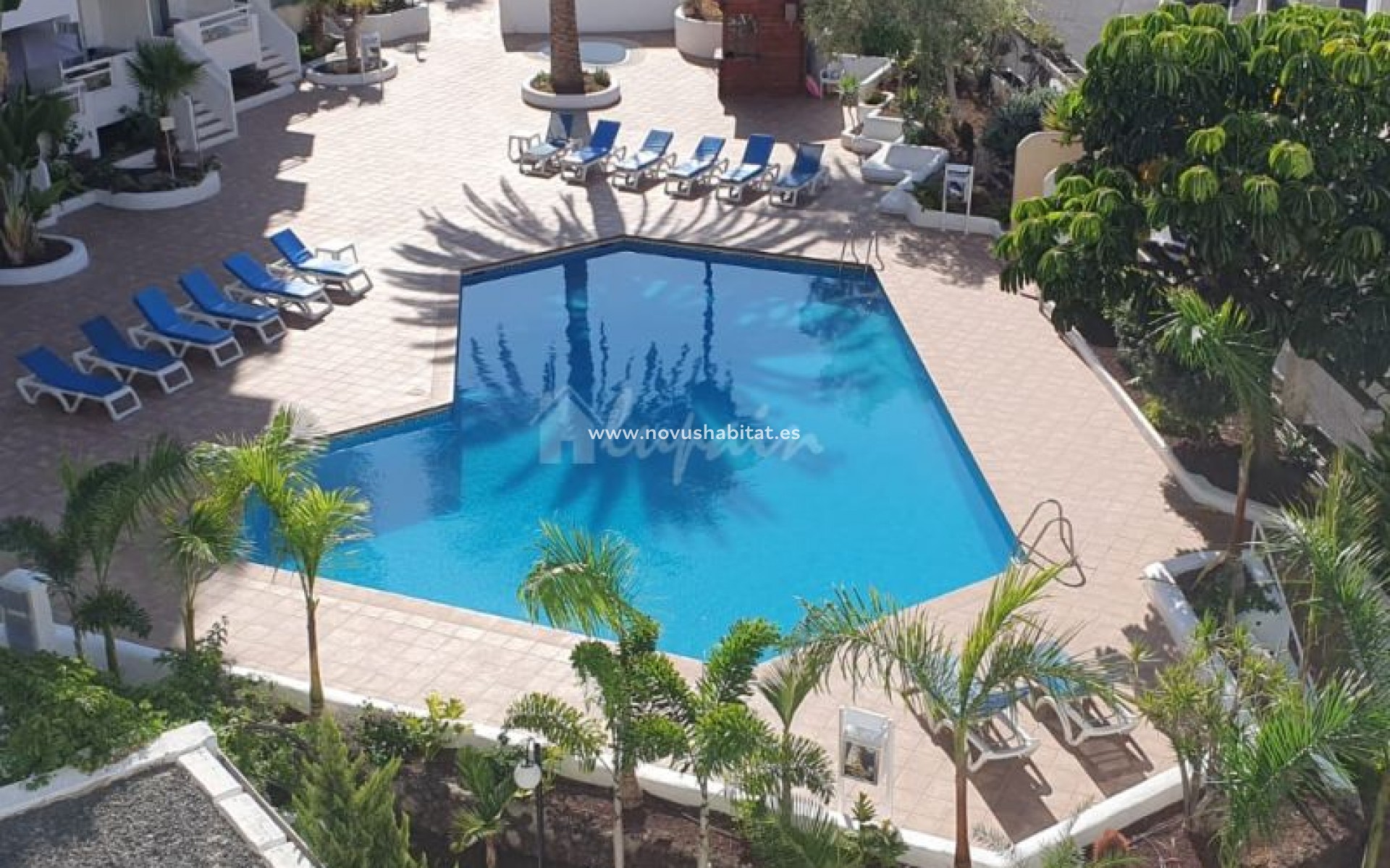 Herverkoop - Appartement - Playa De Las Americas - Ponderosa Las Americas Tenerife