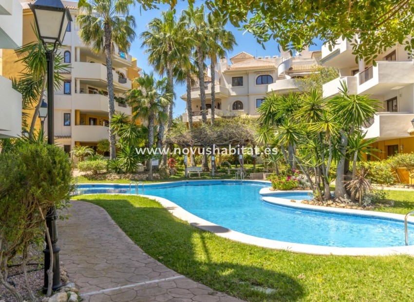 Herverkoop - Appartement - Punta Prima