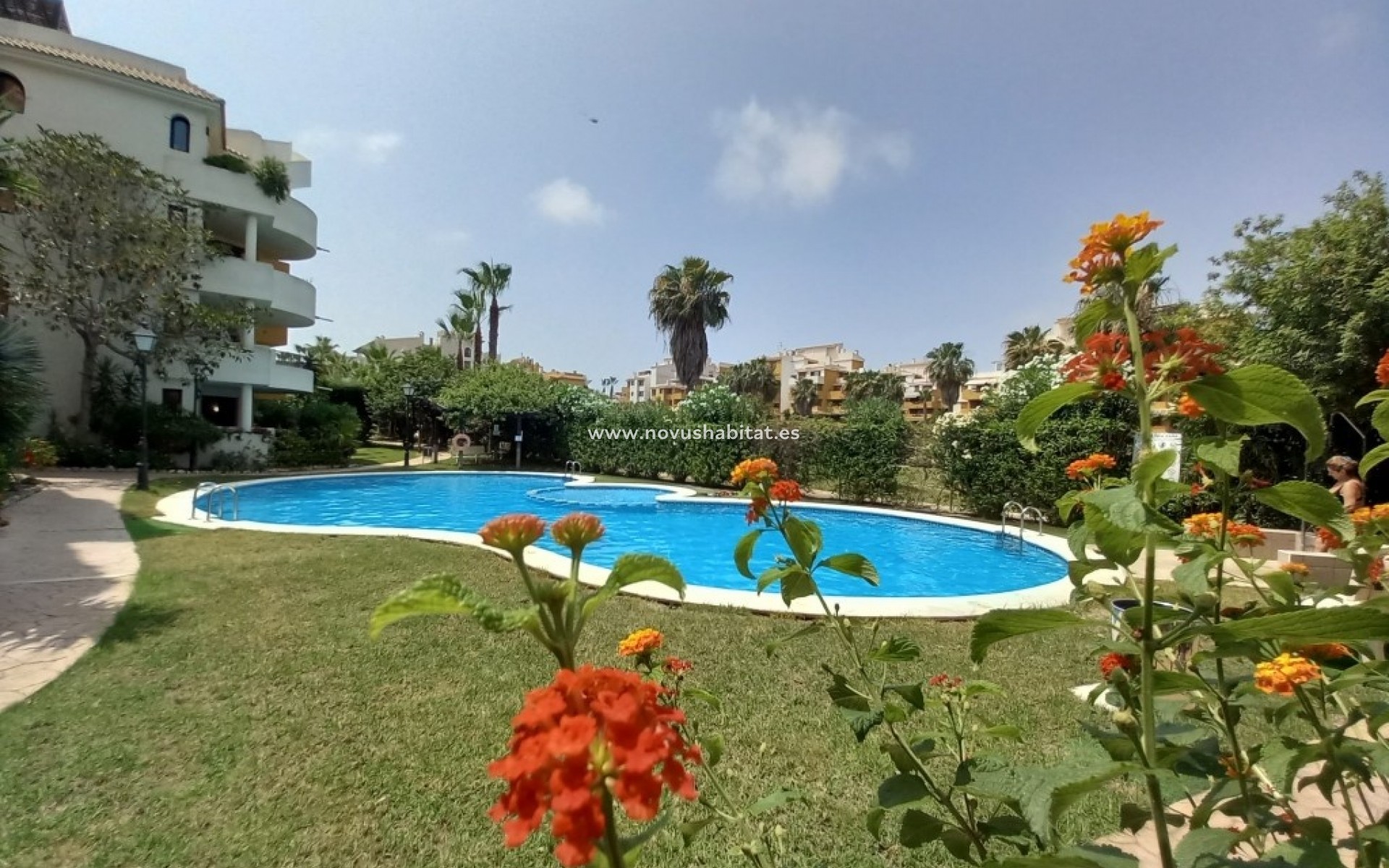 Herverkoop - Appartement - Punta Prima