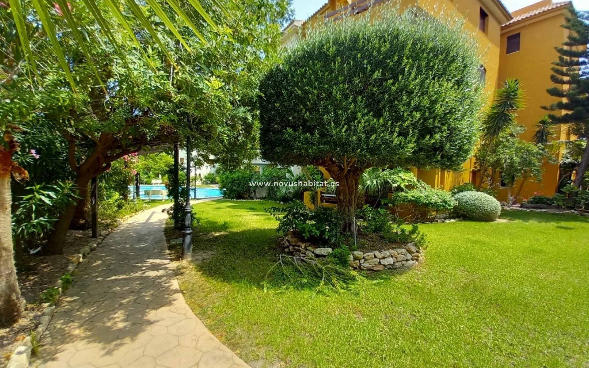 Herverkoop - Appartement - Punta Prima
