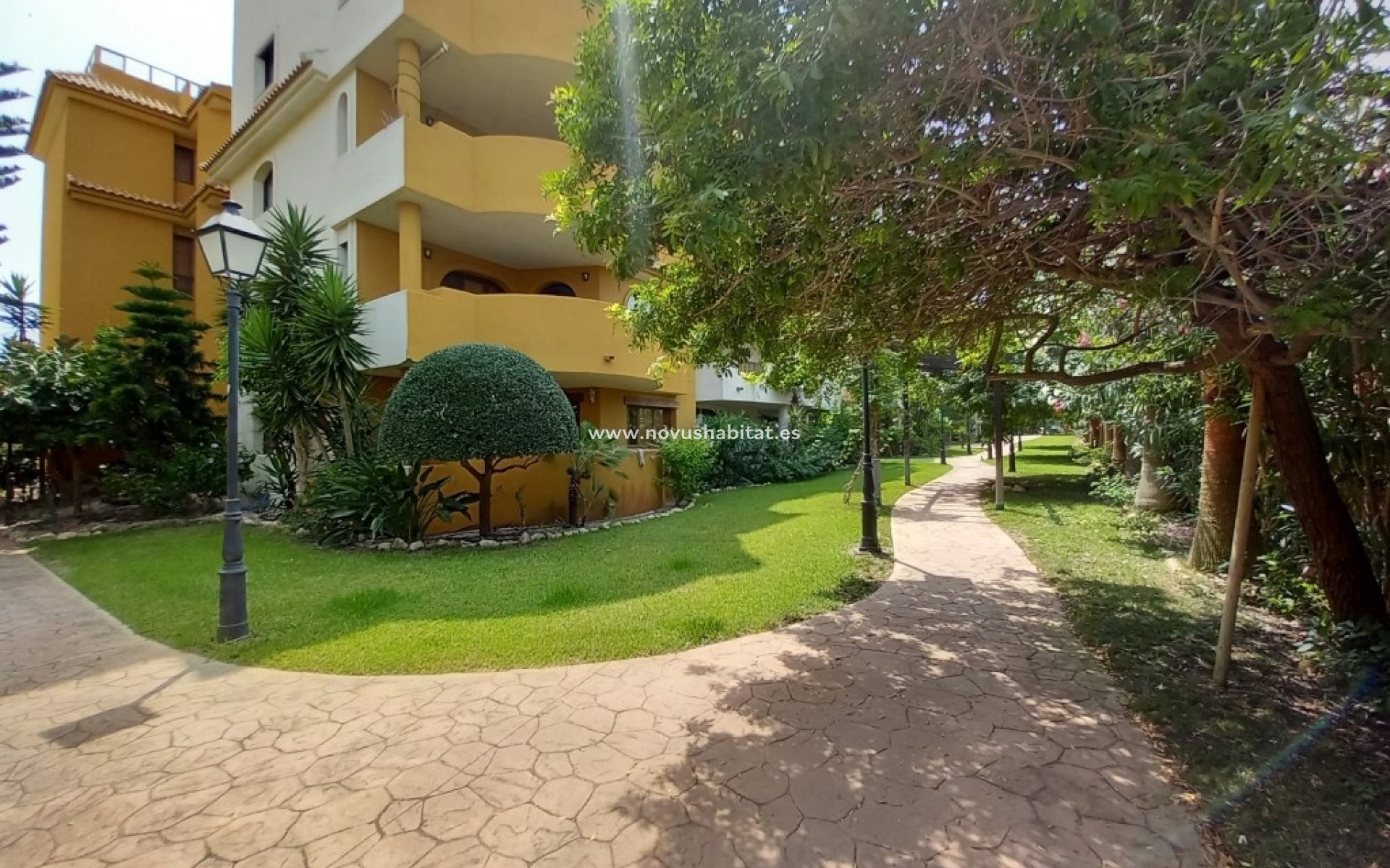 Herverkoop - Appartement - Punta Prima