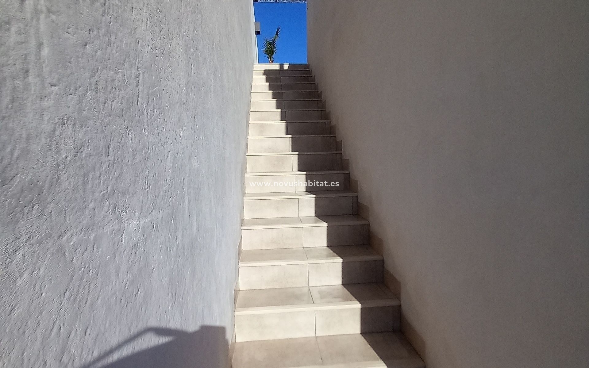 Herverkoop - Appartement - San Miguel de Salinas
