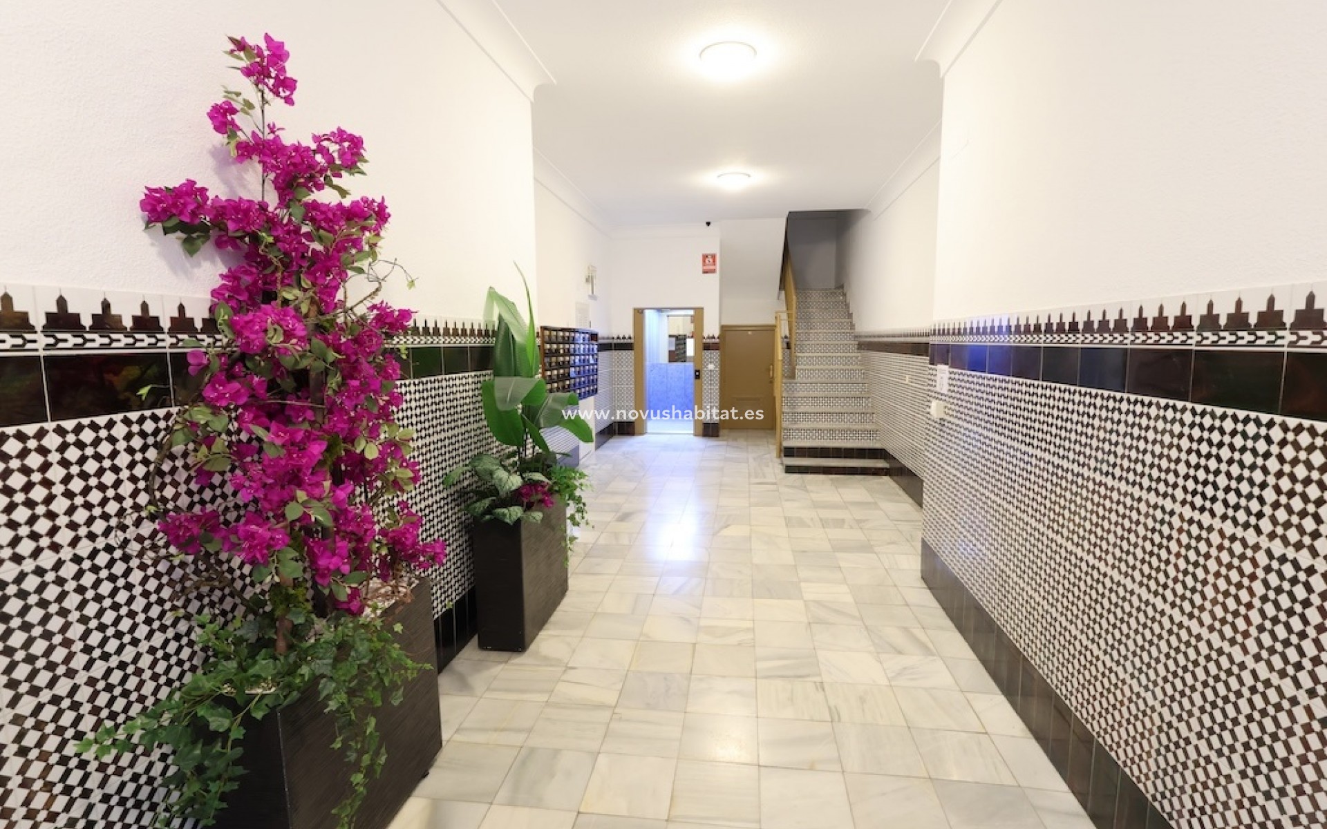 Herverkoop - Appartement - Torrevieja - Playa del Cura
