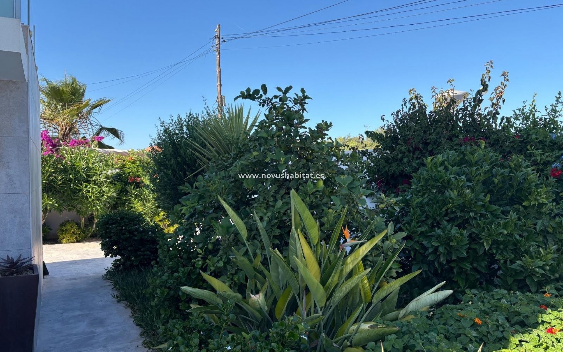 Herverkoop - Villa - Torrevieja - La Siesta - El Salado -  Torreta