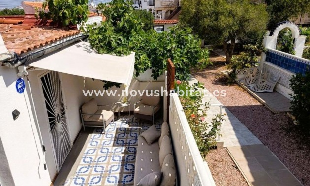 Houses - Neue Gebäude - Torrevieja - Torrevieja