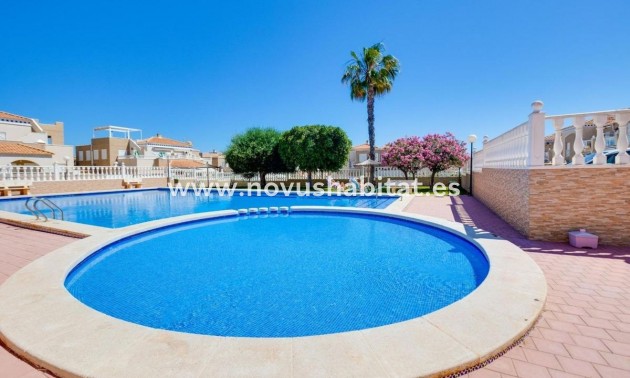 Houses - Neue Gebäude - Torrevieja - Torrevieja