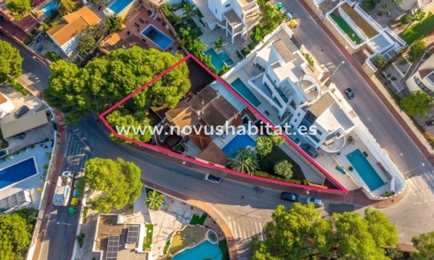 Houses - Neue Gebäude - Torrevieja - Torrevieja